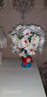 Семья Пискаревых