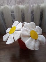 Семья Кривочуриных
